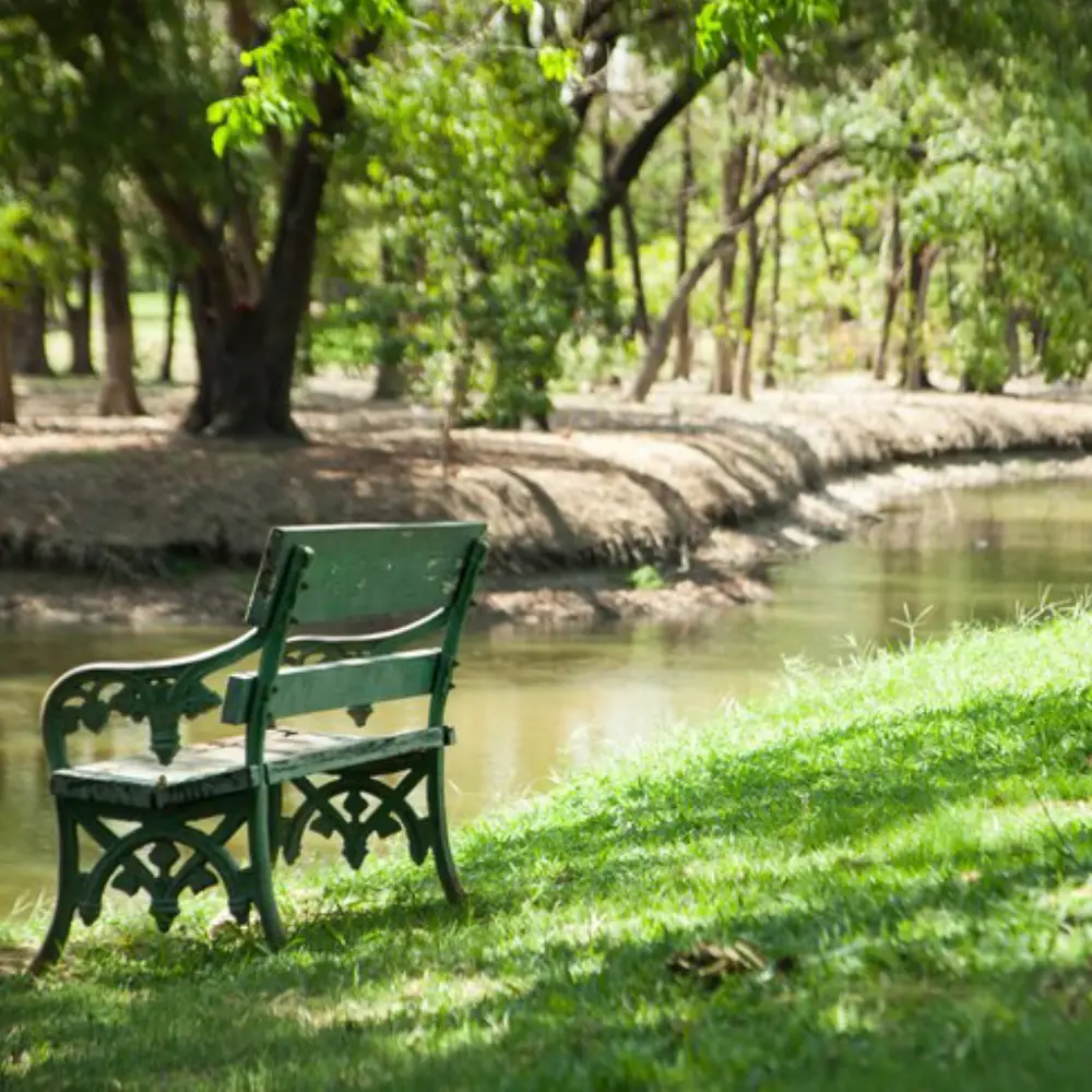 Bench in the park.