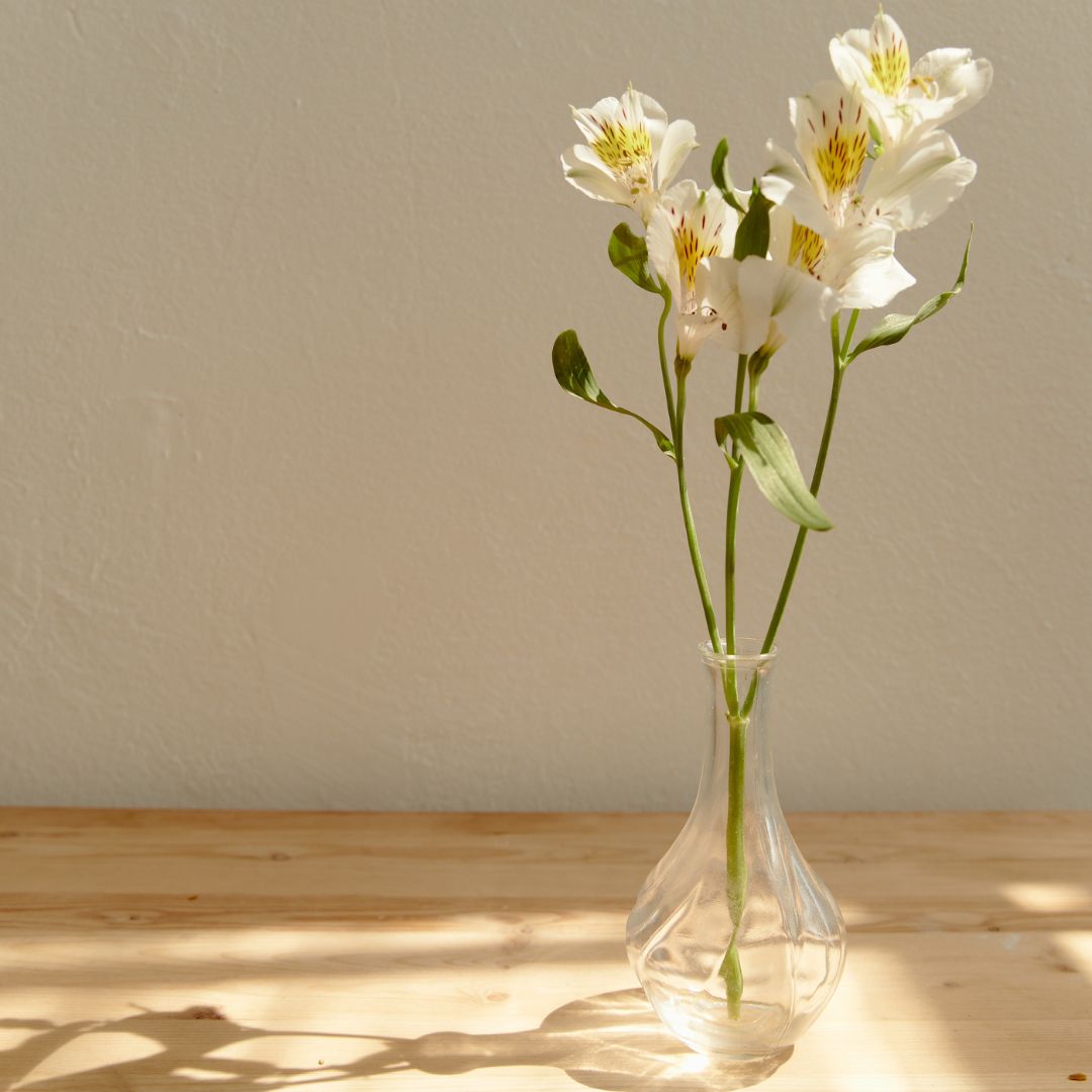 Untitled design - 2024-07-19T161534.148